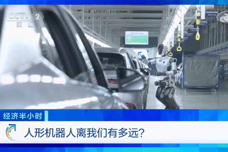 中央电视台《经济半小时》栏目对lewin乐玩机器人的专题报道